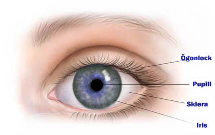 Ögonlaseroperation